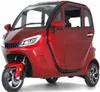 Kabinenroller Cruise, herausnehmbarer Lithium-Akku, 45kmh, Produktbild-Vorschau 1