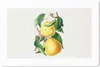 MuchoWow® Mauspad Mousepad Birnen - Obst - Gesund 27x18 cm Produktbild-Vorschau 1