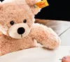 Steiff Miś Fynn 28 cm Podgląd zdjęcia produktu 1