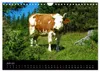 Die Welt der Kühe (Wandkalender 2027 DIN A4 quer), CALVENDO Produktbild-Vorschau 9