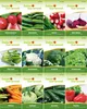 Gemüsesamen Set - 12 Sorten Samen - Saatgut Sortiment - Produktbild-Vorschau 4