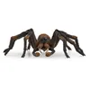 Schleich, Mundo Mágico, Aragog. Código: 13987 Vista previa de la imagen del producto 3
