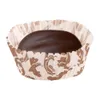 A single chocolate candy in a decorative paper liner, isolated on a white background. Anteprima dell’immagine prodotto