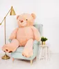A large teddy bear is sitting on a chair in a room with a lamp and a small table with a plant. Produktbild-Vorschau