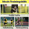 NAIZY multifunkční překážková sada skákací tyč agility Náhled obrázku produktu 2