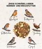 Dehner Natura Premium Wildvogelfutter, Körnerfutter / Produktbild-Vorschau 4