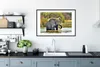 MuchoWow® MuchoWow® Gerahmtes Poster Elefant - Wasser - Produktbild-Vorschau 4