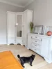 A black cat stands on a wooden floor in front of a white dresser and a white corner wardrobe. Náhľad obrázku produktu