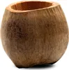 BioCoco Pot Vaso in cocco per orchidee epifite Anteprima dell’immagine prodotto 10