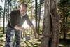 Halder Schonhammer 550g Gesamtlänge 335mm Kopf-Durchmesser Produktbild-Vorschau 15