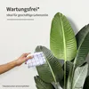 IvoQ Sztuczna roślina Strelitzia 120 cm – ptak rajski w Podgląd zdjęcia produktu 3