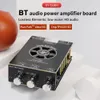 220W + 220W BT 5.2 Bezdrátový zesilovač zvuku Přenosný Náhled obrázku produktu 4
