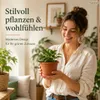 Pflanztopf Fiona Terrakotta Ø 15cm - Frostsicher & Produktbild-Vorschau 4