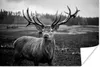 MuchoWow® Poster Tiere - Hirsch - Geweih - Schwarz und weiß Produktbild-Vorschau 1