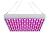 Lampa do roślin Clanmacy, zestaw 2 sztuki, pełne spektrum, Podgląd zdjęcia produktu 2