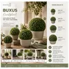 Everlands Buchsbaum - Kunstpflanze - D36 cm - grun - Produktbild-Vorschau 4