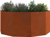 vidaXL Fioriera Rusty 120 x 120 x 50 cm Acciaio resistente Anteprima dell’immagine prodotto 3