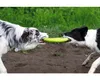 Hračka pes FRISBEE MINI plov. z TPR zelená Kiwi Náhled obrázku produktu 5