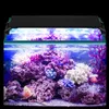 TolleTour 45-60cm LED akvárium osvetlenie akvárium ryby Náhľad obrázku produktu 7