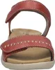 JOSEF SEIBEL Juliet 03 | Sandały dla Kobiety | czerwony Podgląd zdjęcia produktu 4