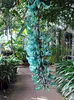 Jade-Blume (Strongylodon macrobotrys)  - 1 gekeimter Samen Produktbild-Vorschau 2