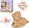A collage of images showcasing a plush toy puppy, its packaging, and diagrams illustrating its features. Anteprima dell’immagine prodotto