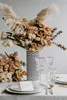 Villeroy & Boch Signature Anmut Gold Becher mit Henkel 0,35 Produktbild-Vorschau 6