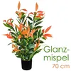 Künstliche Glanzmispel Photinia Kunstpflanze Künstliche Produktbild-Vorschau 1