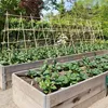 250 x Bambusstäbe 105cm, aus natürlichem Bambus, Produktbild-Vorschau 3