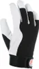 A single glove is shown against a white background. Produktbild-Vorschau
