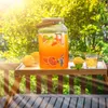 Dávkovač nápojů KADAX 5,6 litru, dávkovač limonády s Náhled obrázku produktu 4