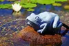 Oase Wasserspeier Frosch aus Polyresin, wetterfest, Produktbild-Vorschau 4