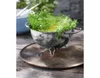 Cedník WMF Ø 24 cm Gourmet Náhled obrázku produktu 7