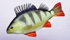 GABY cuscino peluche pesce peluche peluche pesce peluche Anteprima dell’immagine prodotto 1
