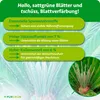 Purgrün Palmfarn-Dünger 1 Liter, Produktbild-Vorschau 3
