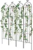 sada 4 popínavých mřížek na popínavé rostliny 51x220 cm Náhled obrázku produktu 10