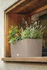 Fioriera LECHUZA BALCONERA Cottage 80 Sand brown | cassetta Anteprima dell’immagine prodotto 12
