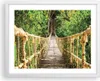 Gerahmtes Poster - Weißer Rahmen - Brücke Seil Dschungel - Produktbild-Vorschau 1