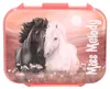 DEPESCHE Boîte à goûter Miss Melody Blossom Pony Voir les images du produit 5