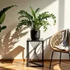 FRAMADO, Pflanzenständer River, Metallregal, Blumenständer, Produktbild-Vorschau 4