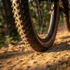 Plášť Schwalbe Racing Ray 29x2,35 (60-622) HS489 Evo Super Náhled obrázku produktu 4
