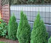 Rattan Pflanzenkübel rechteckig Dunkelbraun 150 x 39 x 50 Produktbild-Vorschau 9