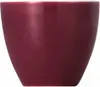 Thomas 10850-408517-15520, Porzellan, Sunny Day Produktbild-Vorschau 1