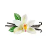 Essentials by Ipuro soft vanilla 50ml Raumduft Dufträume Produktbild-Vorschau 4