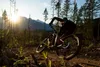 Shimano BR-M6120 Strmeň kotúčovej brzdy Náhľad obrázku produktu 10