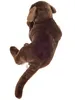 Teddy Hermann 91988 Labrador schokobraun 50 cm Produktbild-Vorschau 2