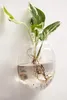 Omgoods - Set van 2 Glazen Wandplanten met Hydroponische Productafbeelding-voorbeeld 3
