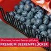 Westmark Beerenpflücker, 40412270 Anteprima dell’immagine prodotto 9