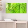 DEQORI Glasbild Echtglas 60x30 cm 'Transparente Produktbild-Vorschau 4