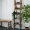 A wooden ladder shelf with decorative items and plants, next to a wooden bench and a large potted plant. Náhled obrázku produktu